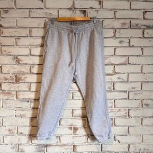TNF cozy AF Extra Fleece Boyfriend Sweatpants Gray Aritzia